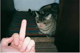 502979.jpg