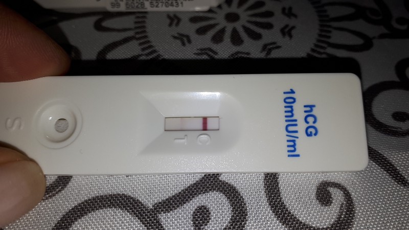 92cd2a.jpg